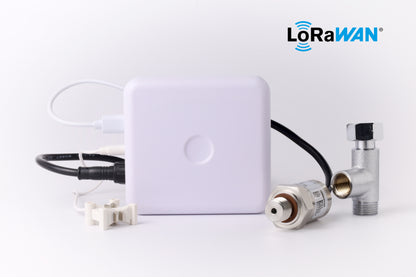 Wasserdrucksensor (LoRaWAN)